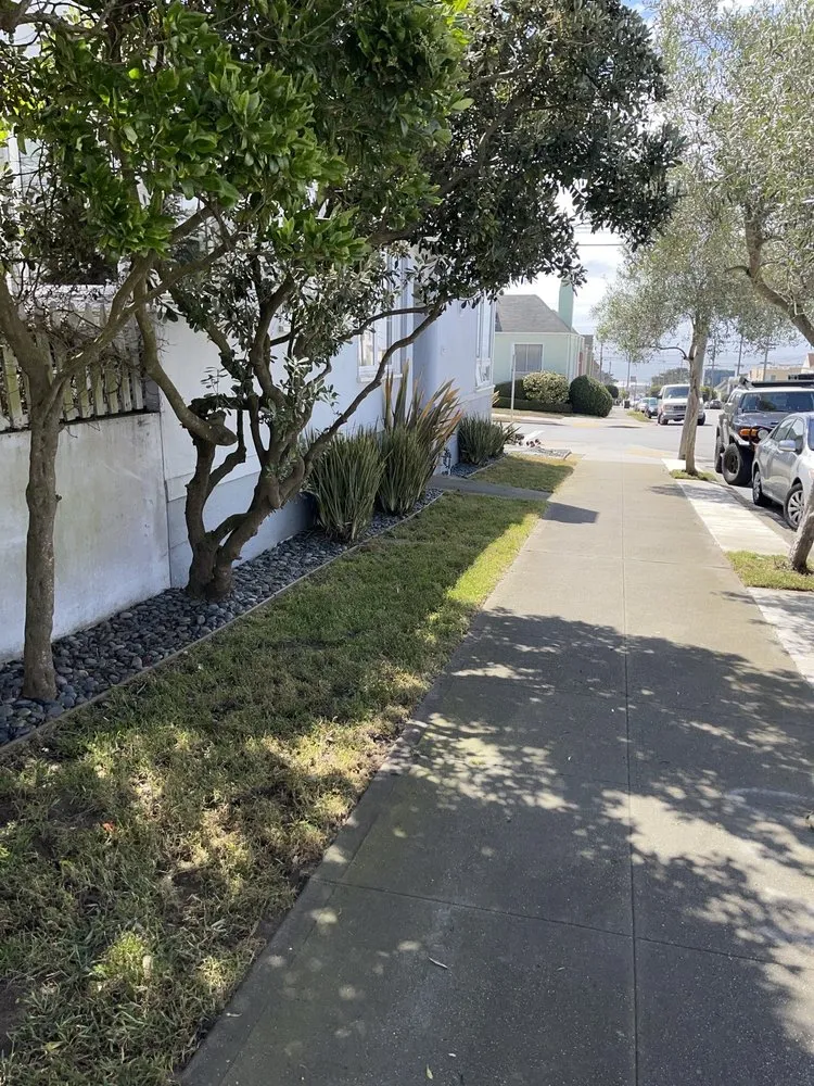 Custom garden landscaping experts serving San Francisco, CA - Verde Garden Service