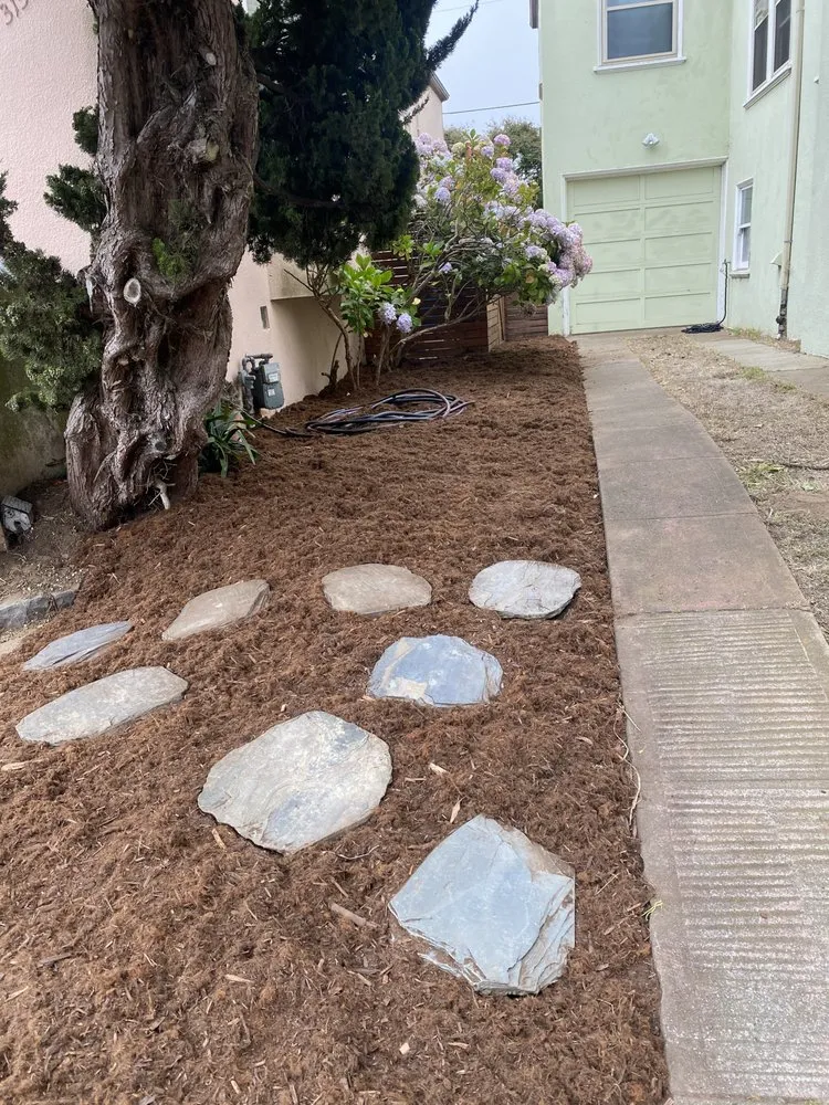 Professional yard maintenance in San Francisco, CA - Verde Garden Service