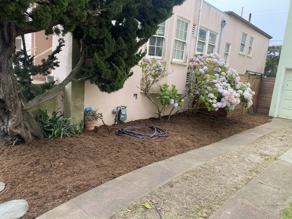 Trusted lawn mowing service for year-round maintenance across San Francisco, CA - Verde Garden Service