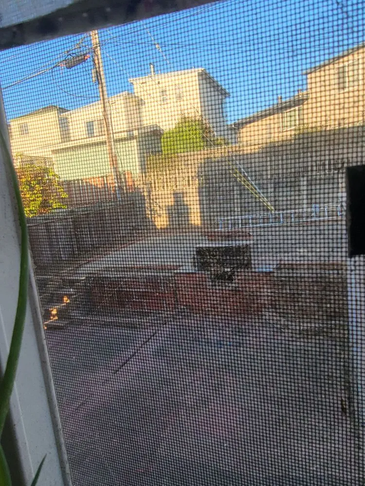 Professional lawn care service in San Francisco, CA by Verde Garden Service