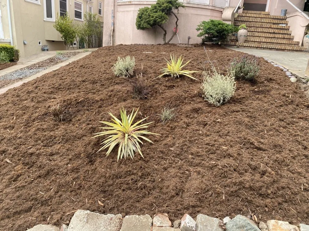 Affordable landscape design for residential properties in San Francisco, CA by Verde Garden Service
