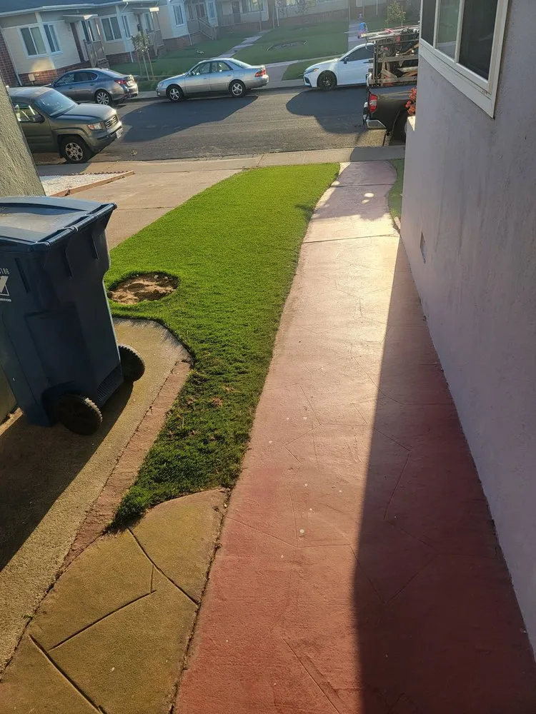 Custom yard cleanup service for homes in San Francisco, CA by Verde Garden Service