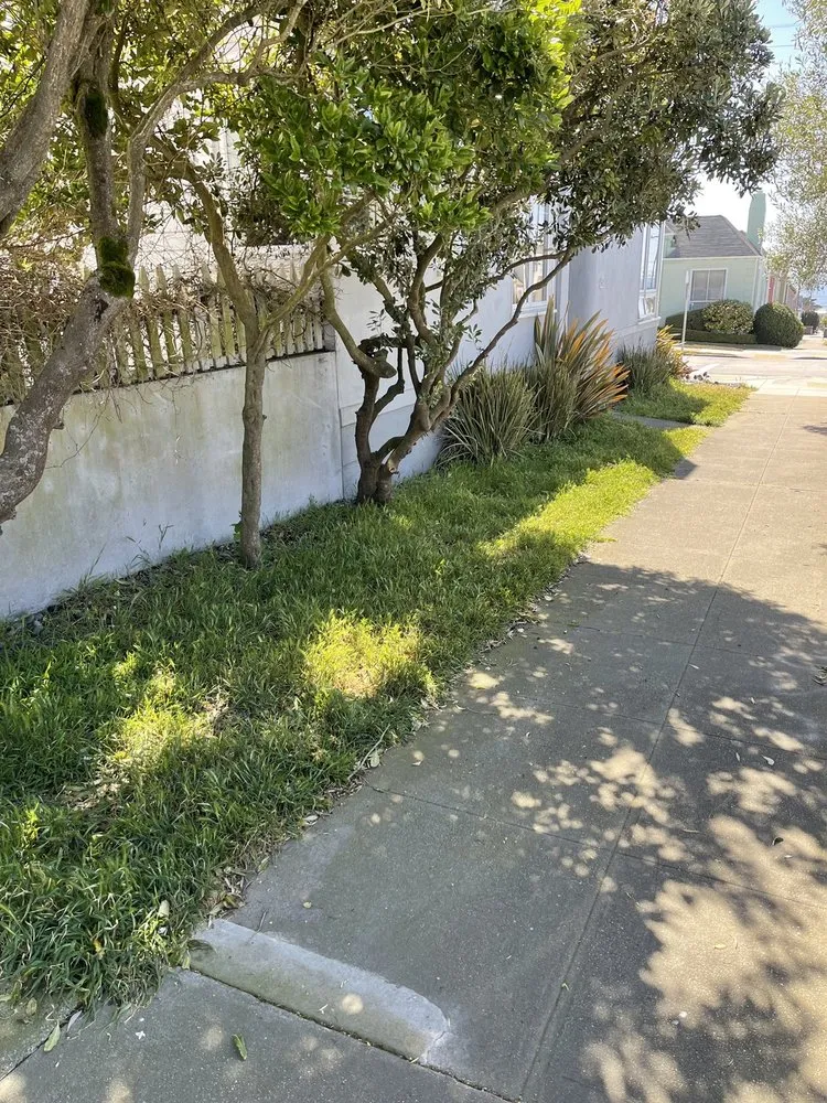 Professional landscape design experts serving San Francisco, CA - Verde Garden Service