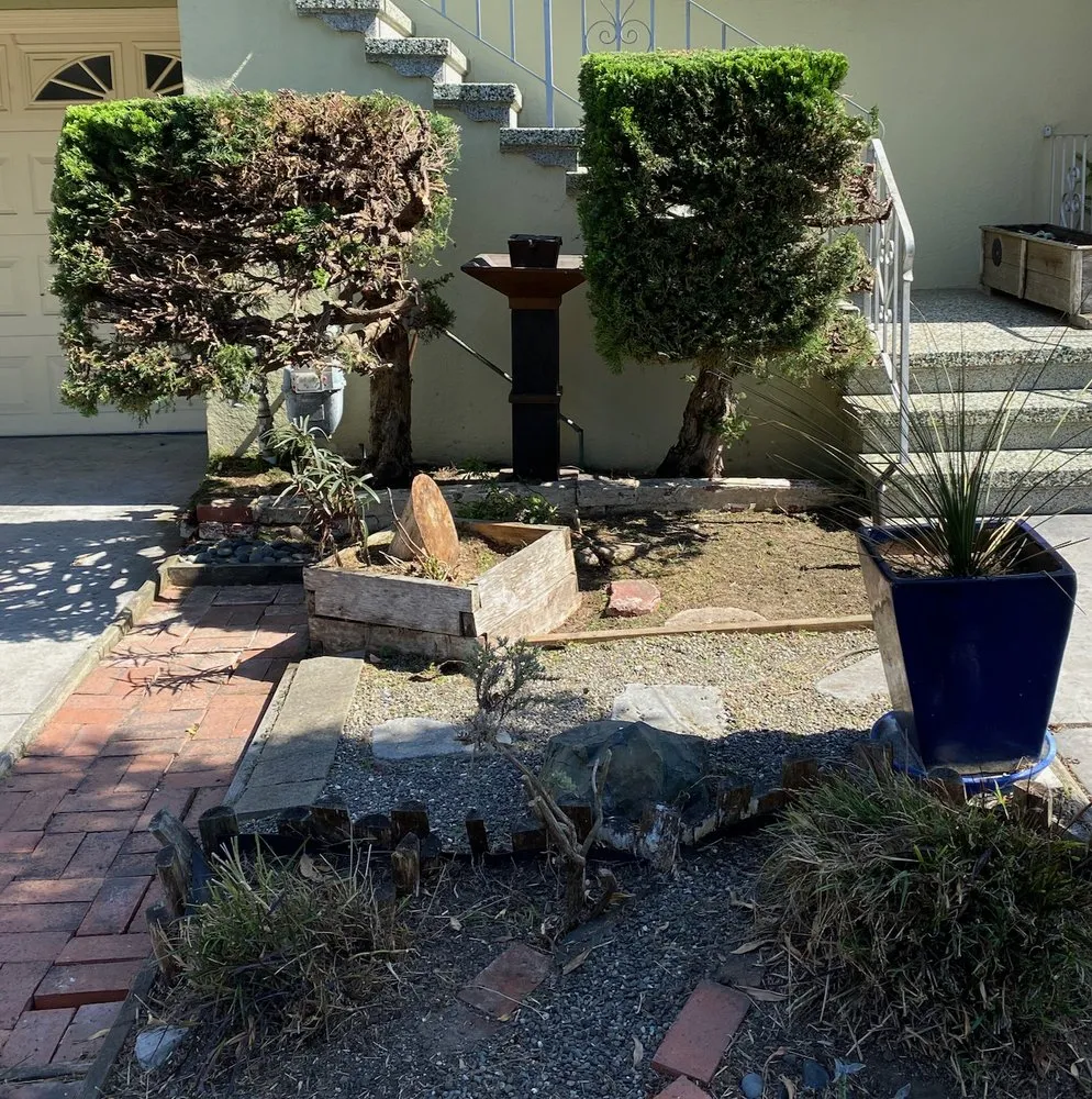 Reliable yard cleanup service in San Francisco, CA by Verde Garden Service