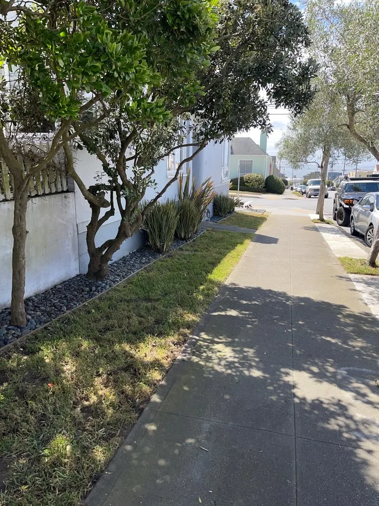 Affordable lawn mowing service experts serving San Francisco, CA - Verde Garden Service