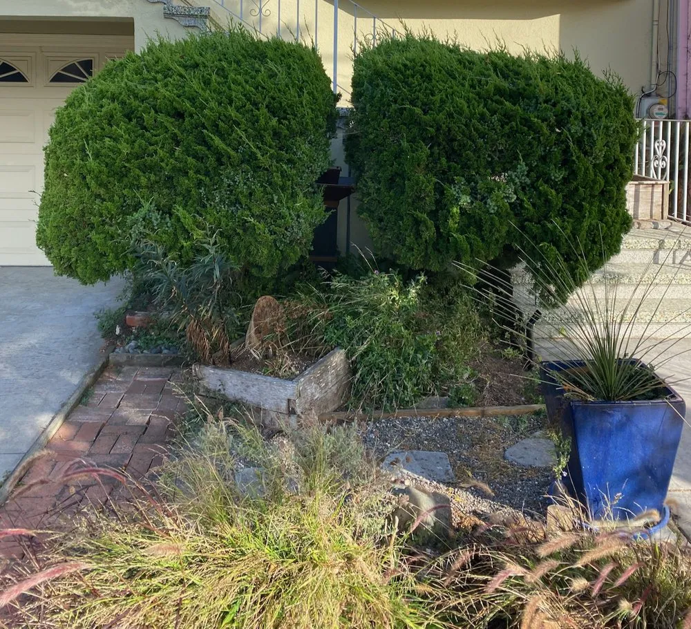 Professional landscape installation for homes across San Francisco, CA - Verde Garden Service
