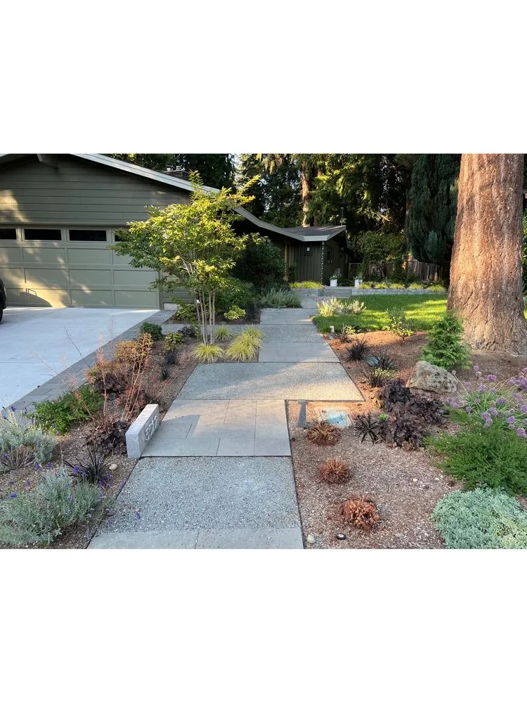 Local landscaping services experts serving Lake Forest Park, WA - Verde Gardens