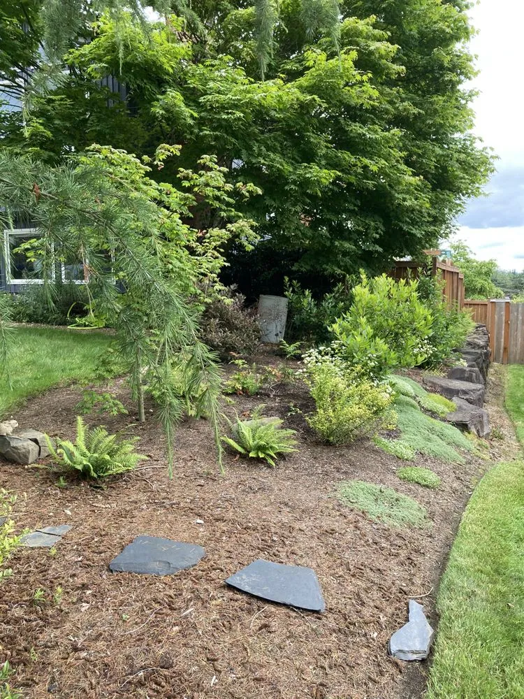 Top-rated lawn care service for beautiful yards across Lake Forest Park, WA - Verde Gardens