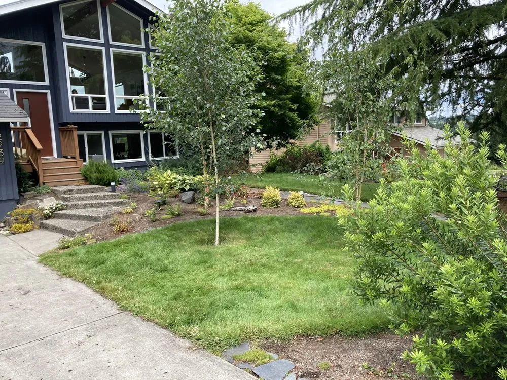 Custom lawn care service near you across Lake Forest Park, WA - Verde Gardens