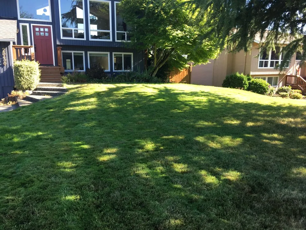 Local lawn care service in Lake Forest Park, WA by Verde Gardens
