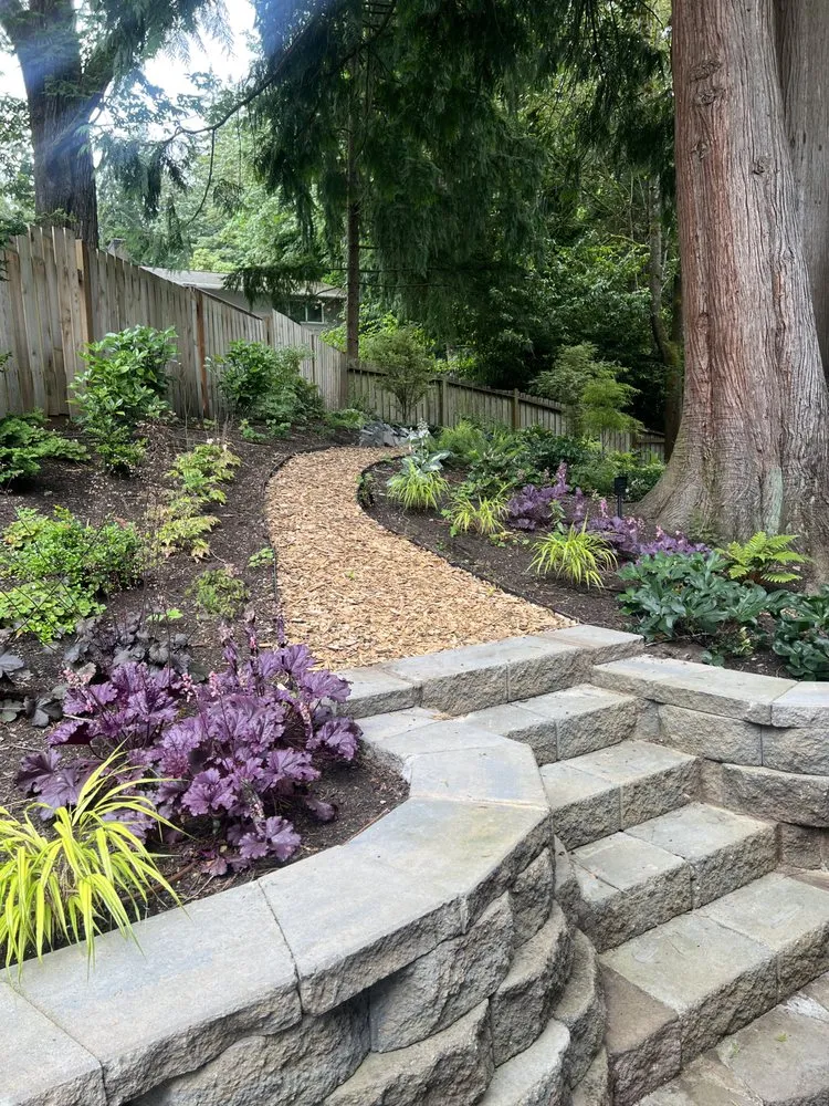Professional yard cleanup service experts serving Lake Forest Park, WA - Verde Gardens