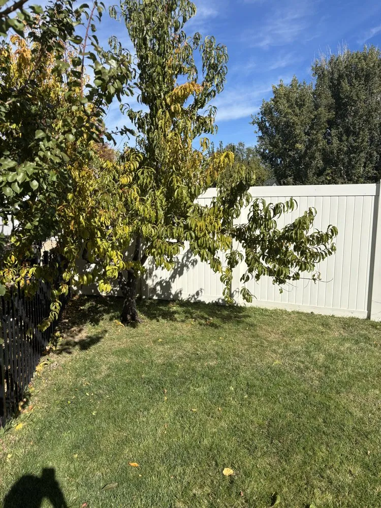 Professional outdoor landscaping in Nampa, ID by Verde Green Lawn Care