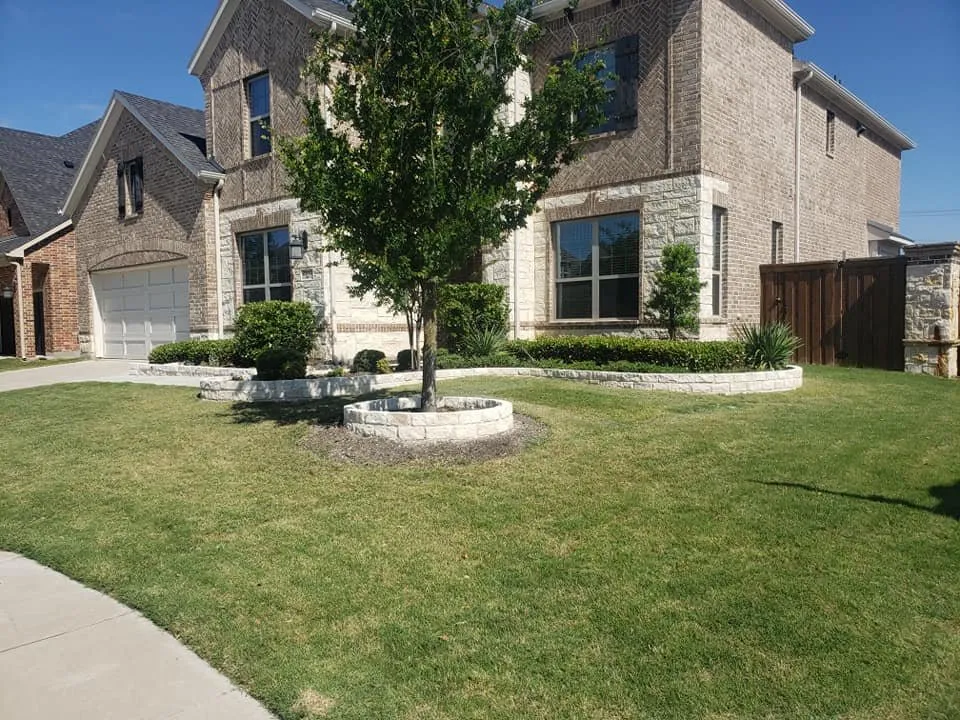 Top-rated yard maintenance for year-round maintenance across Prosper, TX - Verde Home Services