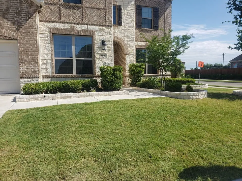 Expert yard cleanup service for homes across Prosper, TX - Verde Home Services