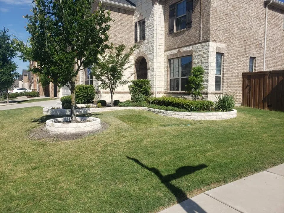 Professional outdoor landscaping in Prosper, TX by Verde Home Services