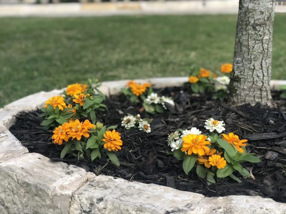 Professional landscape design in Prosper, TX by Verde Home Services