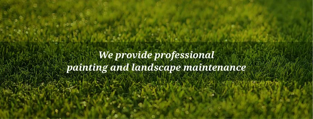 Reliable outdoor landscaping for beautiful yards across Prosper, TX - Verde Home Services