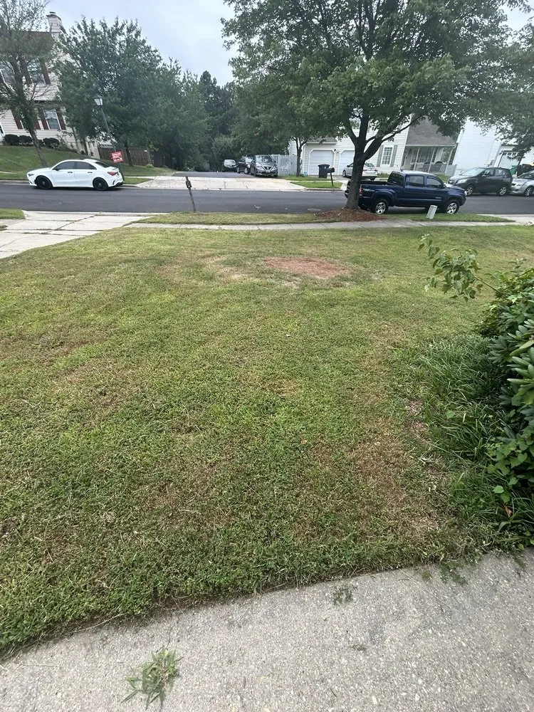 Local garden landscaping for year-round maintenance in Upper Marlboro, MD by Verde Improvements Landscape & Hardscape