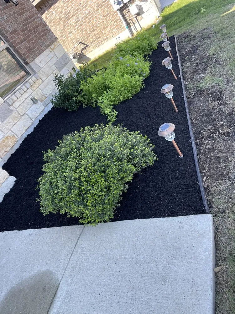Affordable landscaping services in Manor, TX by Verde Jardín