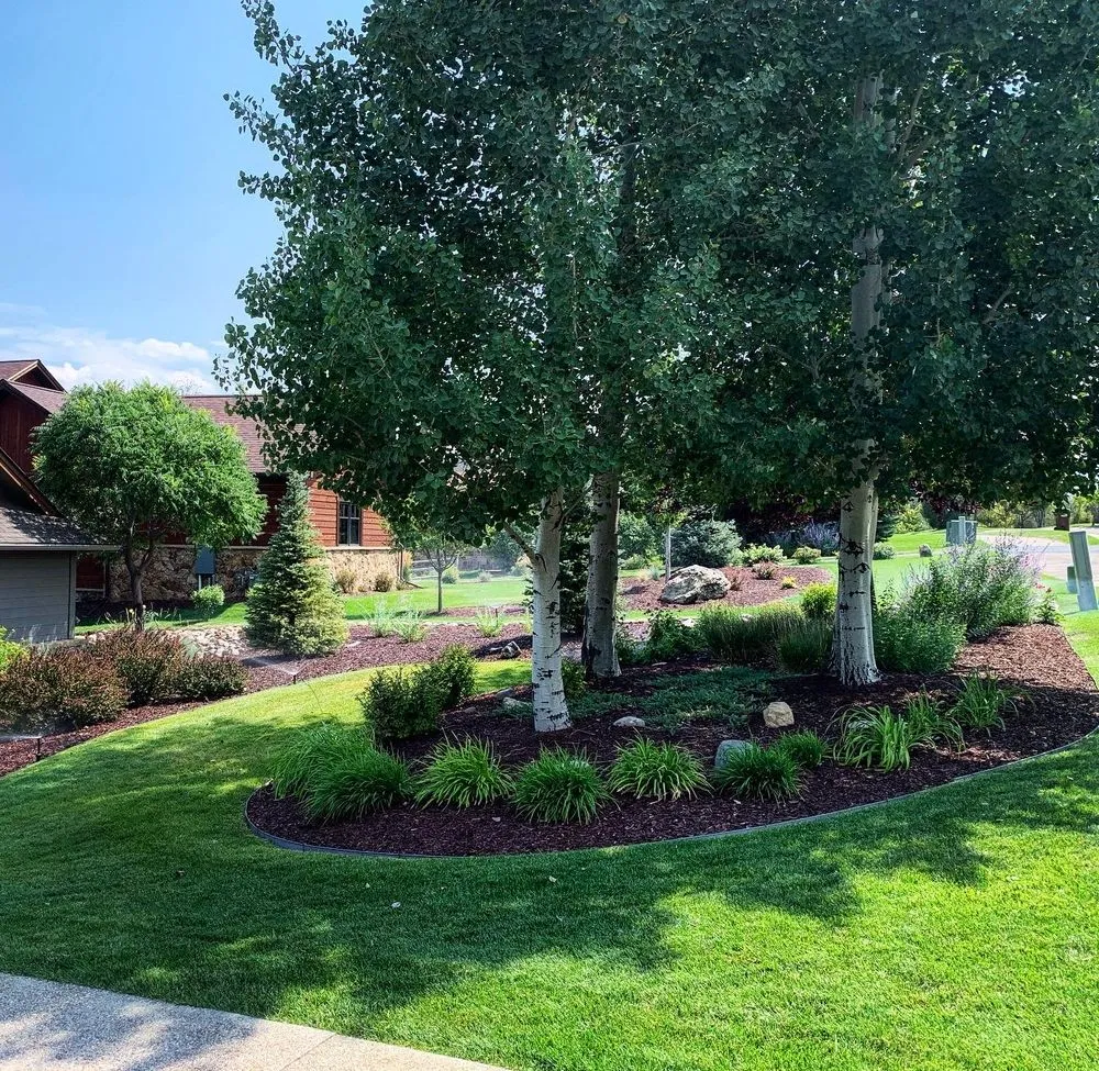 Trusted outdoor landscaping for homes in Marble, CO by Verde Land Management