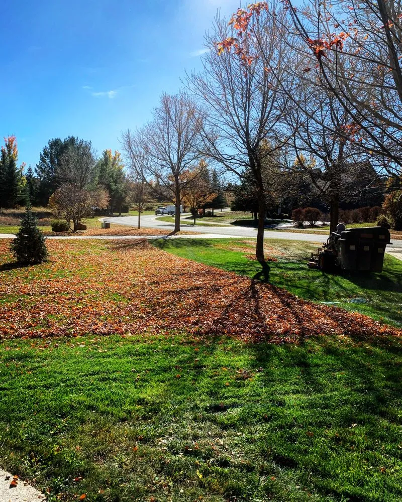 Custom yard cleanup service for year-round maintenance in Marble, CO by Verde Land Management