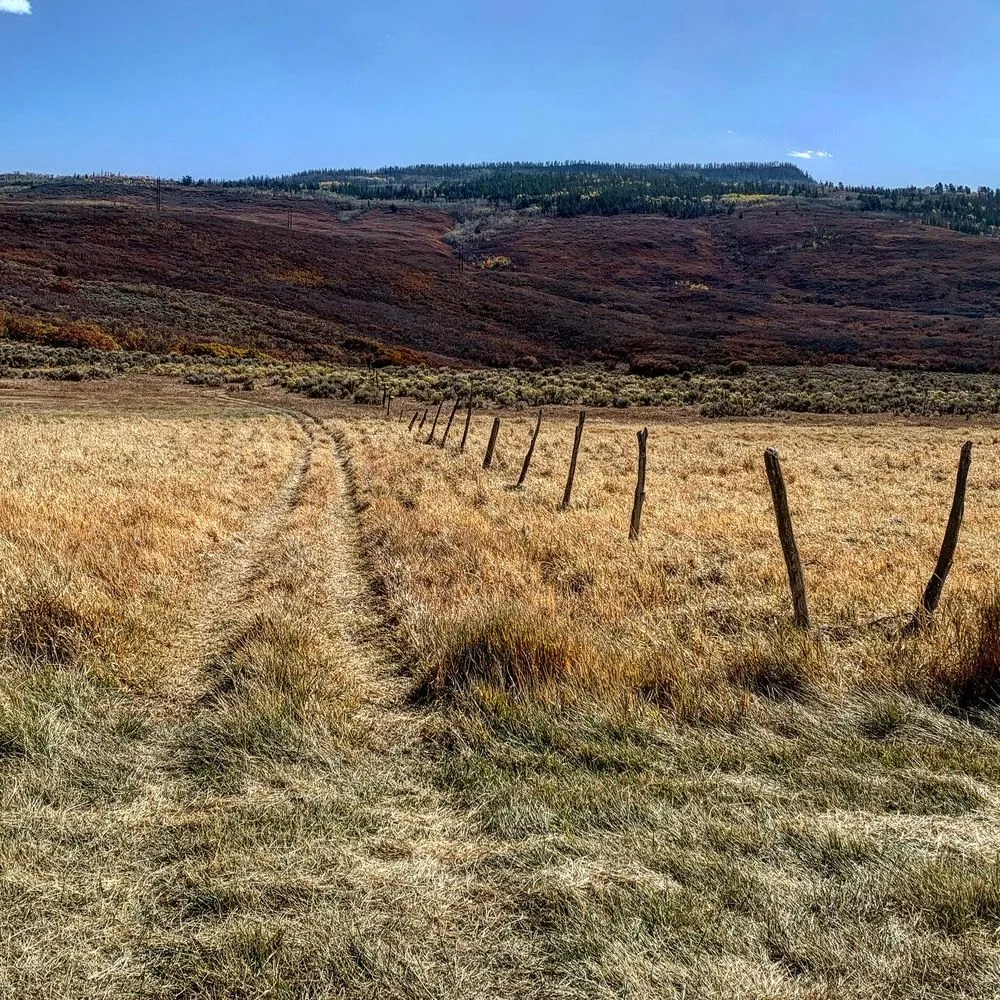 Custom lawn mowing service experts serving Marble, CO - Verde Land Management