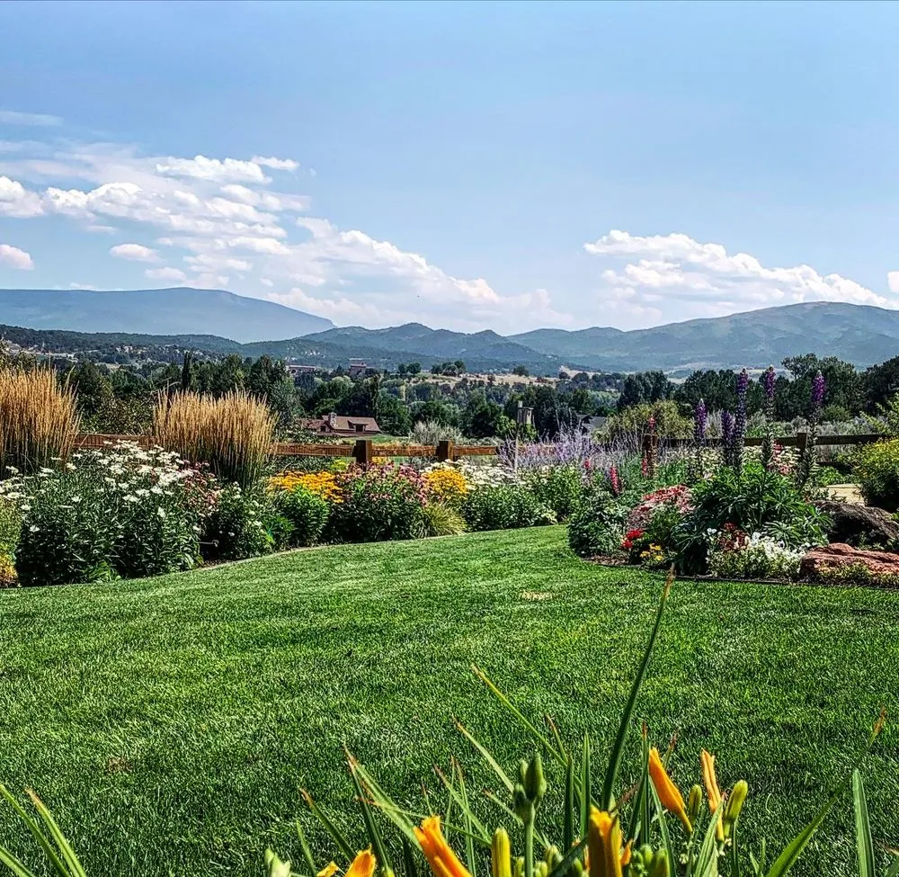 Top-rated lawn mowing service experts serving Marble, CO - Verde Land Management