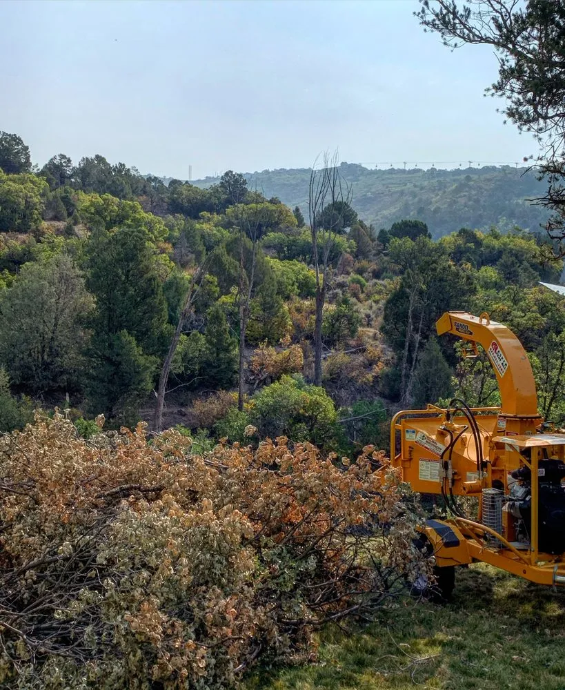 Expert yard cleanup service for outdoor upgrades across Marble, CO - Verde Land Management