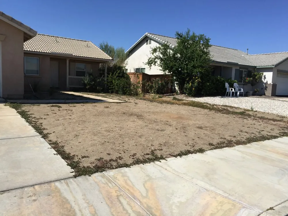 Professional yard cleanup service for beautiful yards in Apple Valley, CA by Verde Landscape