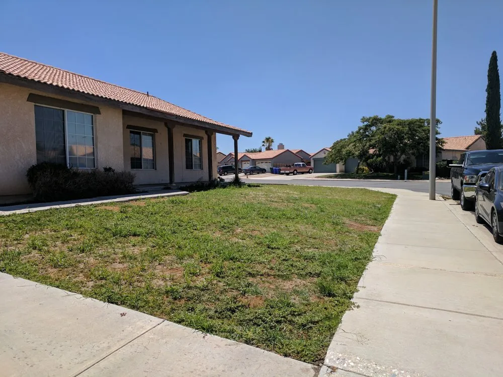 Local yard cleanup service experts serving Apple Valley, CA - Verde Landscape