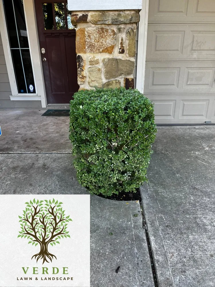 Top-rated landscape installation near you in Austin, TX by Verde Lawn & Landscape