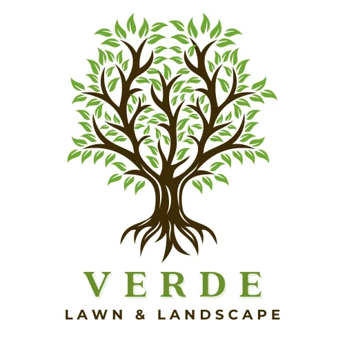 Reliable landscape design in Austin, TX by Verde Lawn & Landscape