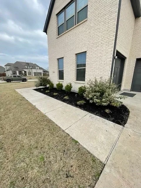 Professional yard cleanup service experts serving Allen, TX - Verde Lawn DFW