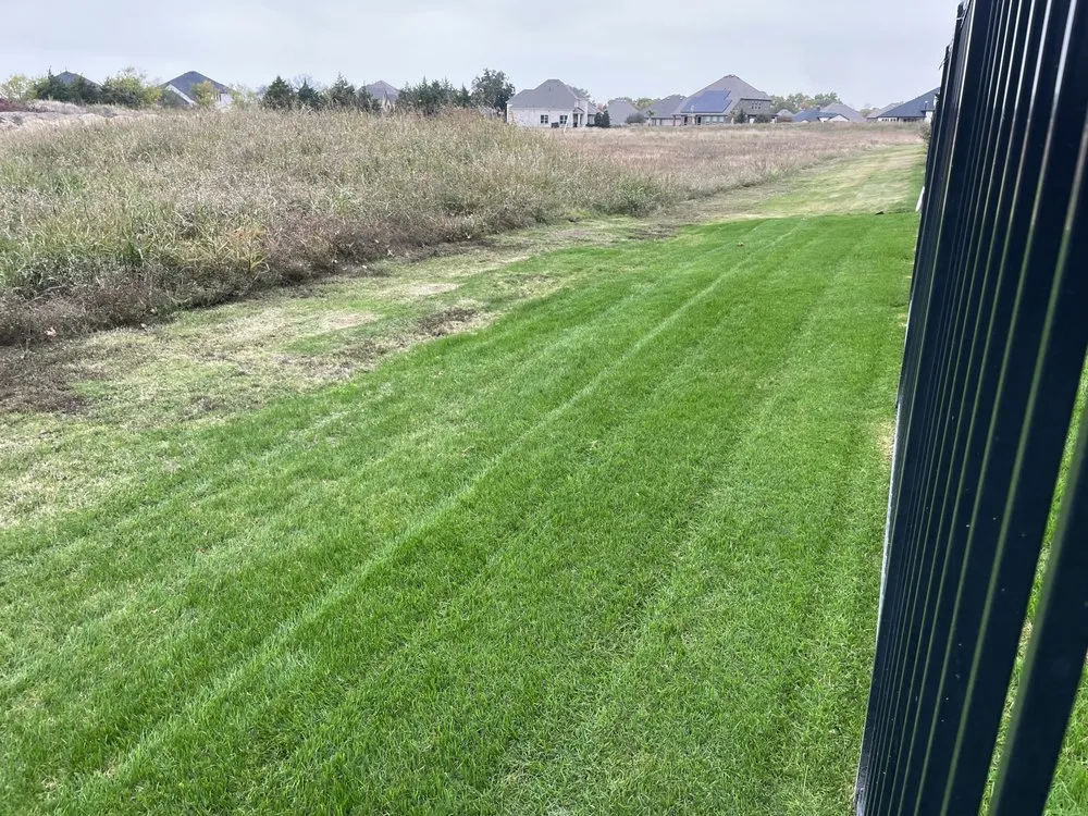 Top-rated garden landscaping experts serving Allen, TX - Verde Lawn DFW