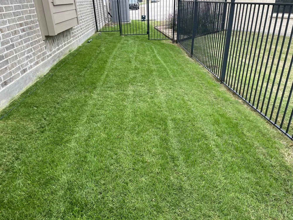 Reliable lawn care service experts serving Allen, TX - Verde Lawn DFW