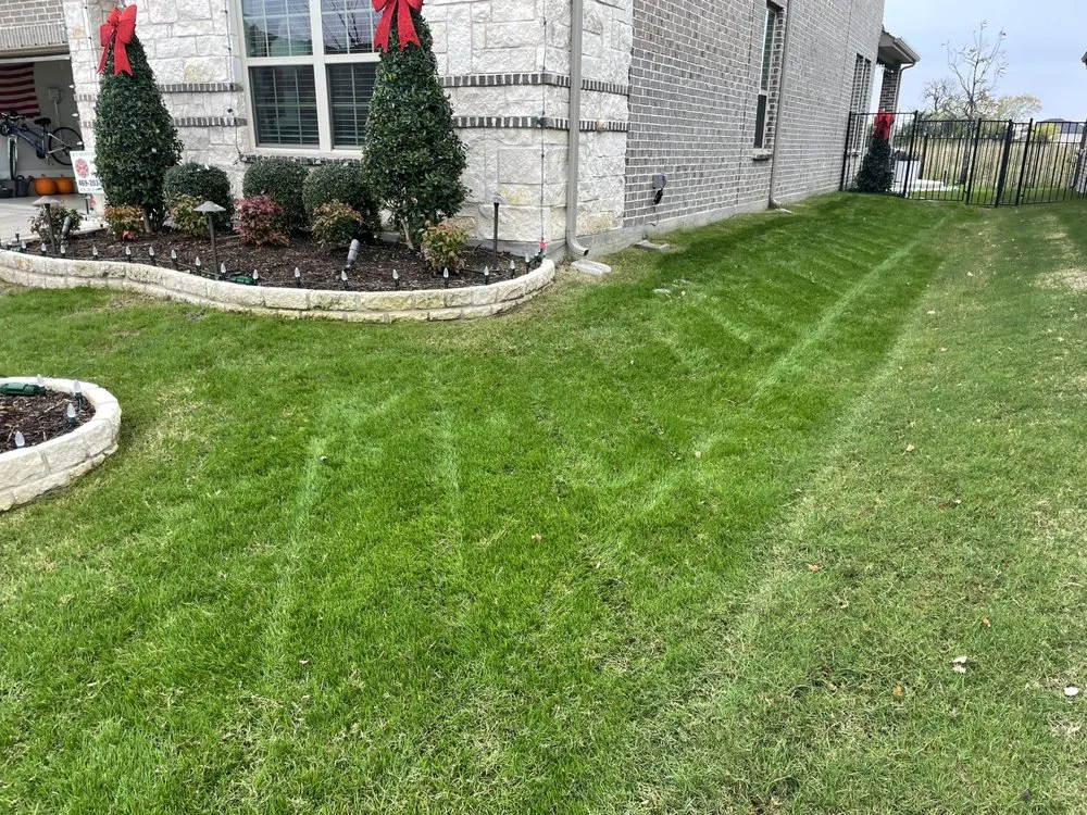 Custom lawn care service for homes in Allen, TX by Verde Lawn DFW