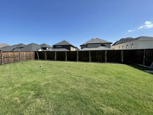 Verde Lawn DFW