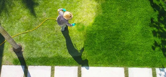 Affordable outdoor landscaping for outdoor upgrades across Orlando, FL - Verde Lawn Systems