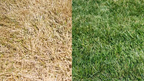 Verde Lawn Systems Logo