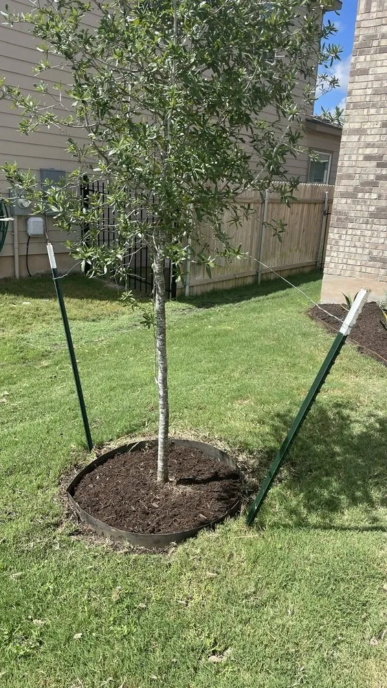 Top-rated landscape design experts serving Austin, TX - Verde Lux Stone & Garden