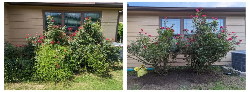 Custom lawn mowing service in Austin, TX - Verde Lux Stone & Garden