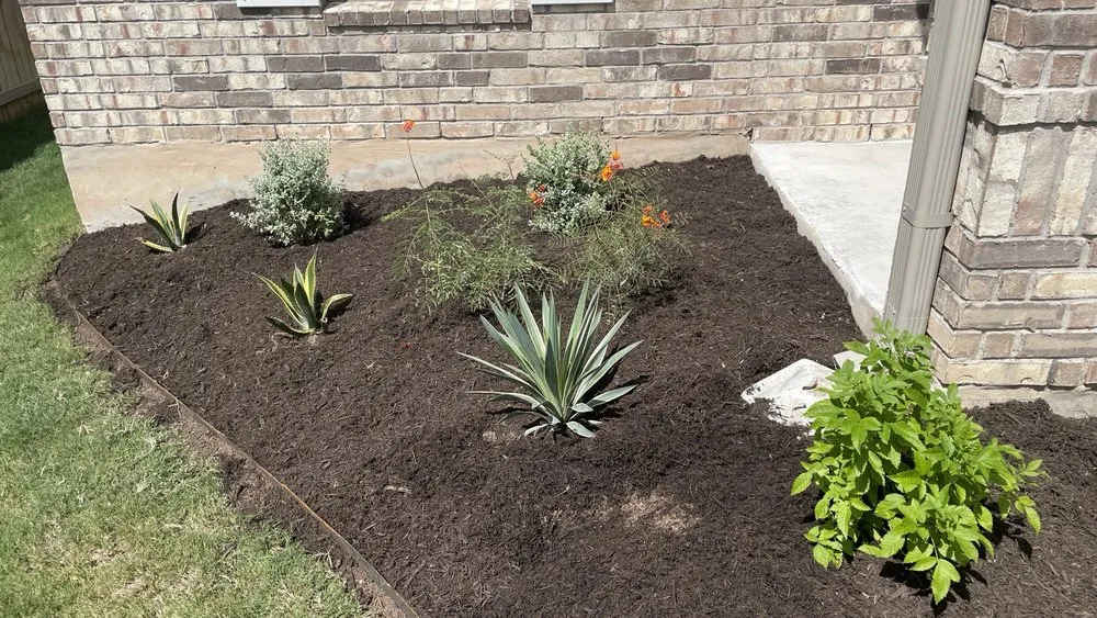 Custom yard cleanup service in Austin, TX by Verde Lux Stone & Garden