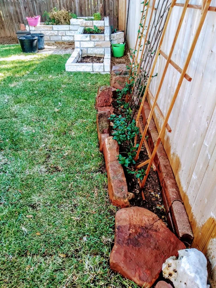 Reliable yard cleanup service for residential properties in Austin, TX by Verde Lux Stone & Garden