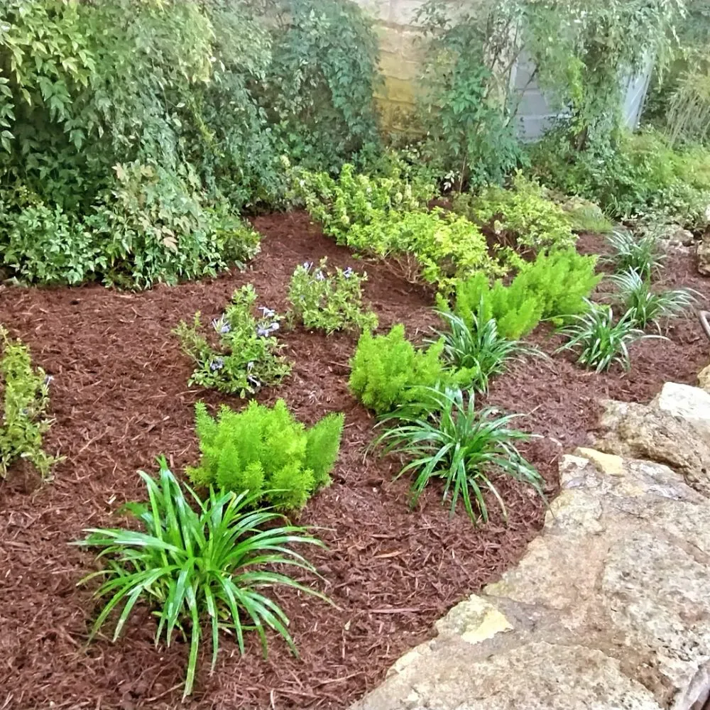 Local landscaping services near you in Austin, TX by Verde Lux Stone & Garden
