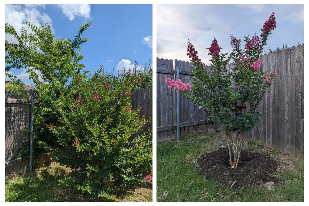 Custom lawn mowing service in Austin, TX - Verde Lux Stone & Garden