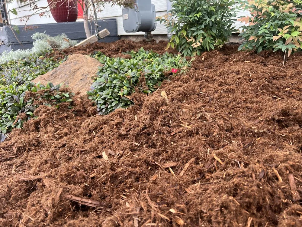 Custom landscaping services in Oklahoma City, OK by Verde Natural Lawn Services