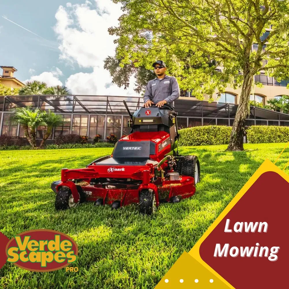 Local landscape design in Alexandria, VA - Verde Scapes Pro