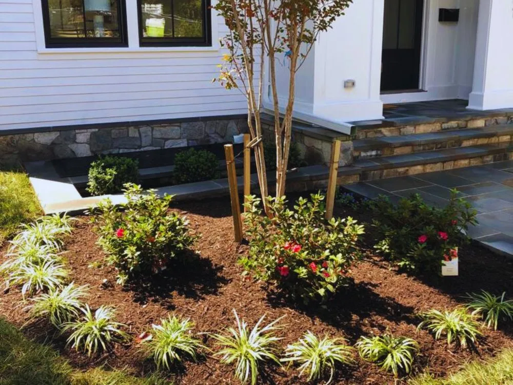 Custom lawn mowing service in Alexandria, VA by Verde Scapes Pro