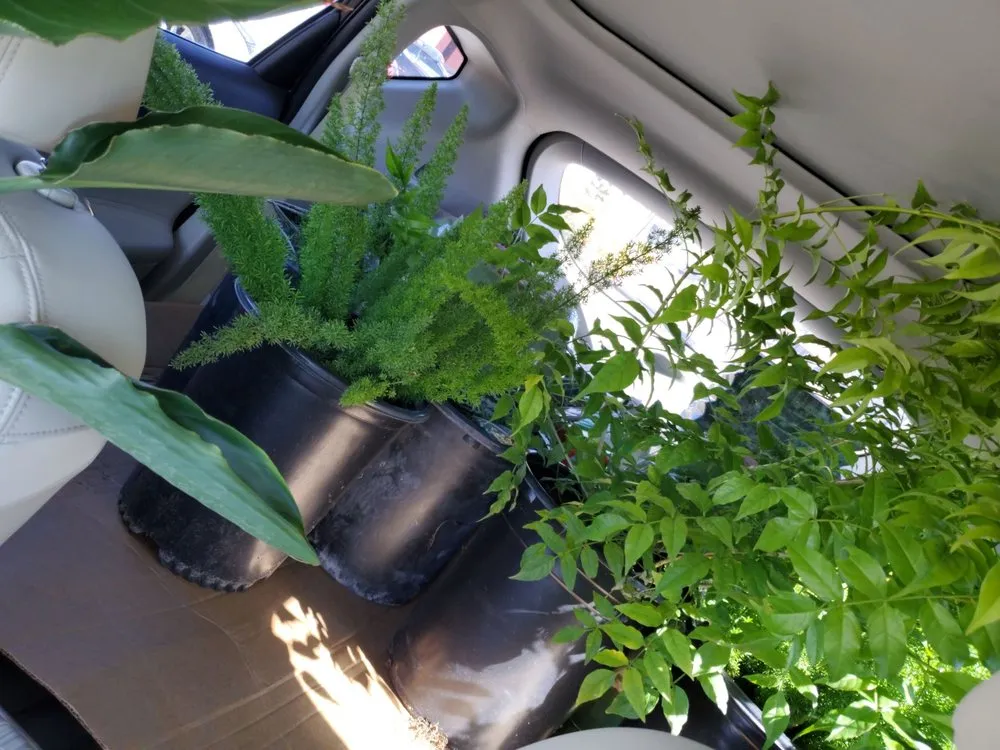 Reliable landscape installation for residential properties in Fountain Hills, AZ by Verde Valley Nursery