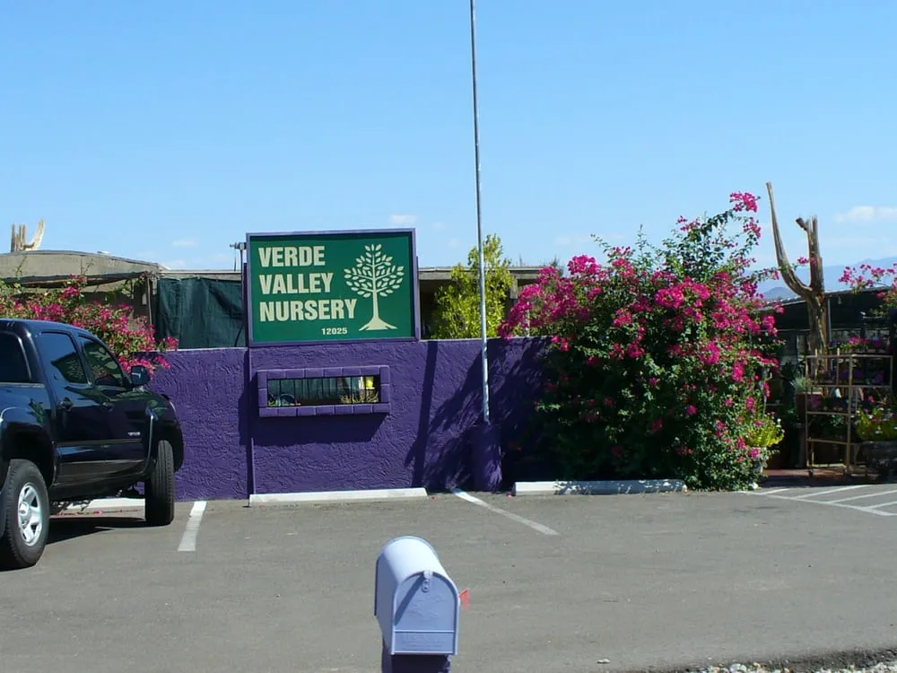 Local landscaping services with custom design in Fountain Hills, AZ by Verde Valley Nursery